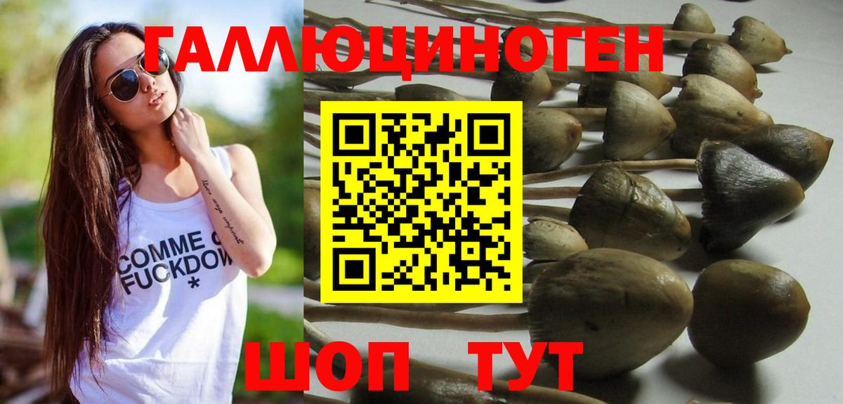 Благодарный  Галлюциногенные грибы мухоморы  Вход с VPN 