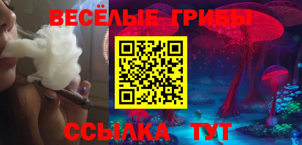 Галлюциногенные грибы GOLDEN TEACHER Благодарный